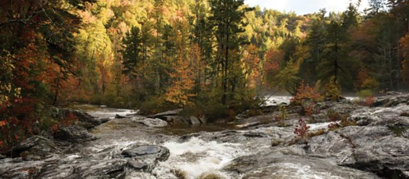 Chattooga River